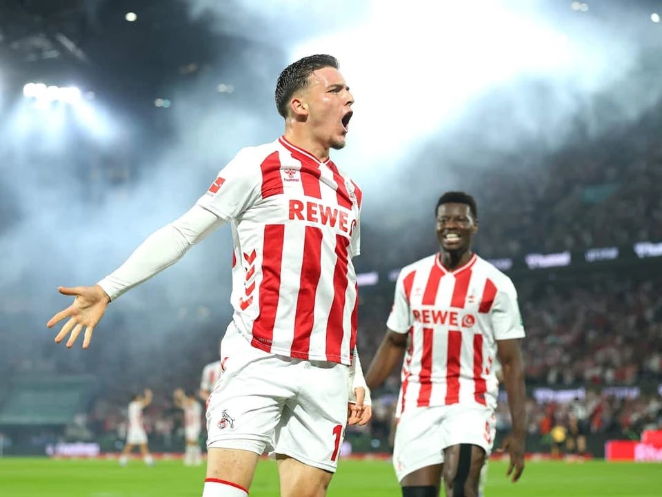 还处于早期, 奇马 还处于早期, 奇马